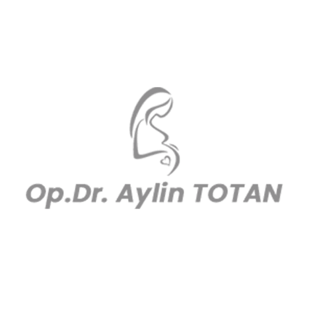 Aylin Totan