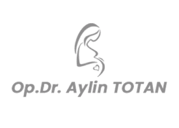 Aylin Totan