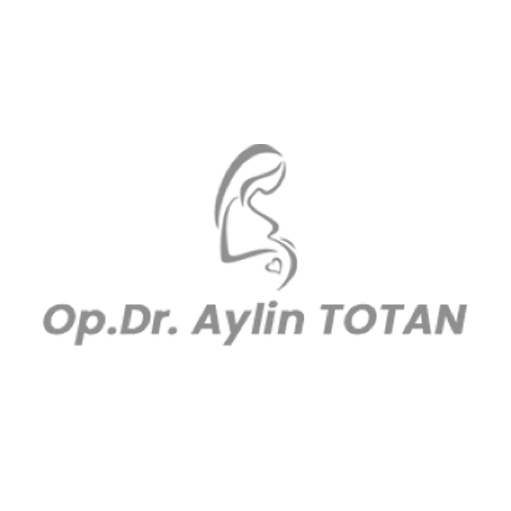 Aylin Totan